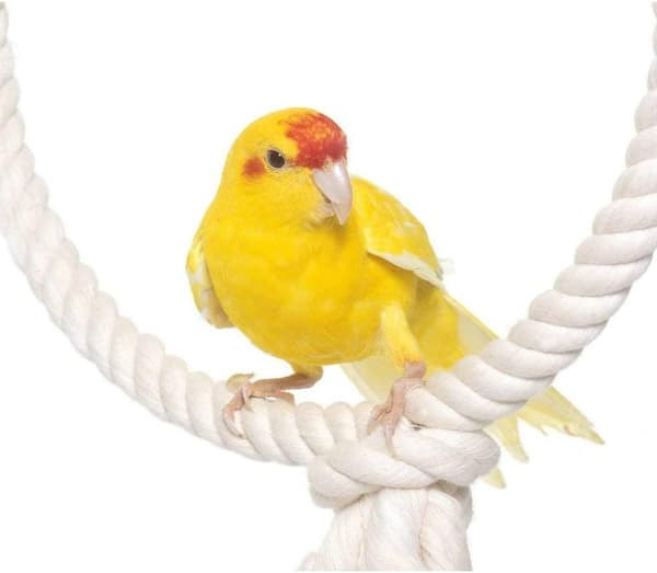 Soft Twisted Rope 100% Cotton for Macrame, Knitting, Plant Hangers, Creative Hobbies - 10 m x 10 mm
