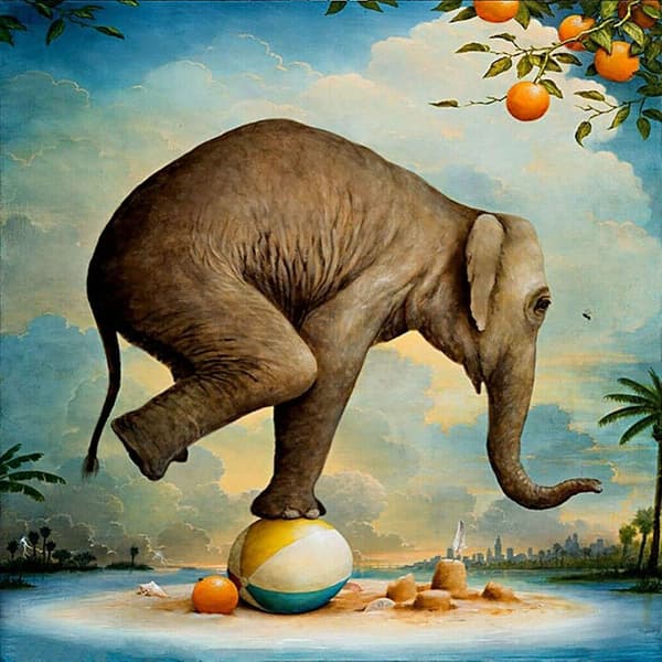 5D Diamantmaleri Elefant Vilde Dyr Lang Næse Cirkus Orange