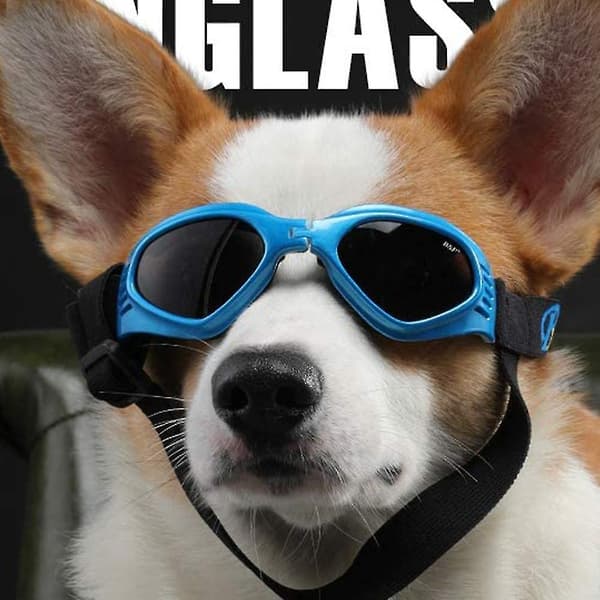 Skyddsglasögon Hund Solglasögon Justerbart Solglasögonband UV Vattentätt