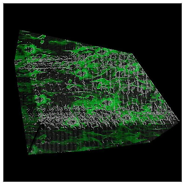 Vedensiirtotulostuskalvo Hydrographics Hydro Dipping -setti Kallo Vihreä 0,5*2m