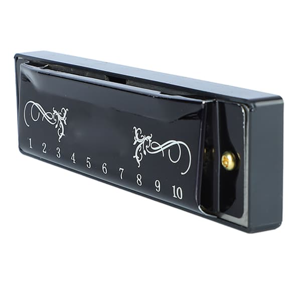 Harmonica 10 Holes 20 Tones C Major Professional Standard Harmonica with Case for Kids Beginners Black