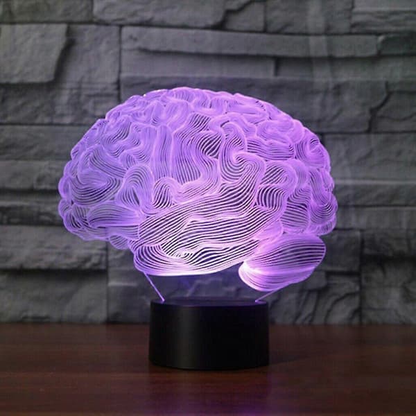 3D Human Brain - Cerebellum Model Table Lamp 7 Color Changing LED Night Light Gift