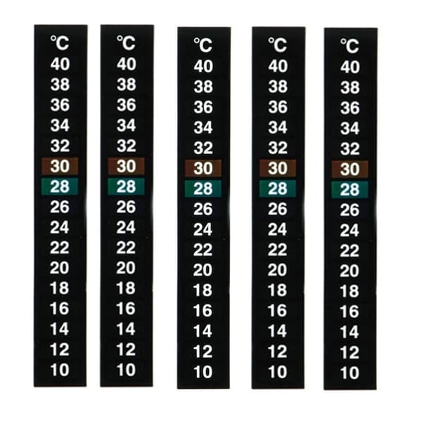 5-pak Traditionelle Digitale Klistertermometre med Celsius-system