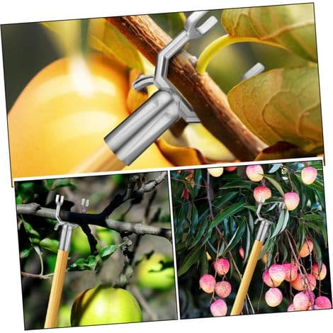 Fyrpack stödforkar för fruktträdsgrenar – robusta, hållbara och multifunktionella metallstöd.