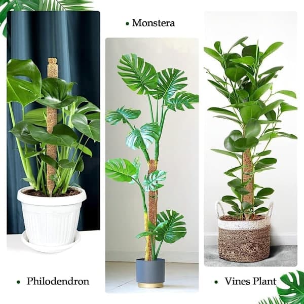 Plant support / support pole, Bendable moss pole 70-100cm - Climbing support 1/2-pack, for indoor plants, ivy and monstera (bt) 100cm-2 pcs 100cm-2 st