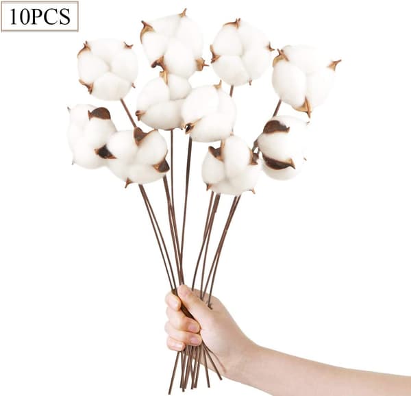 10 Natural Dried Cotton Stems, Dried Flowers, Artificial Branches, Artificial Cotton Plants, Home Decor