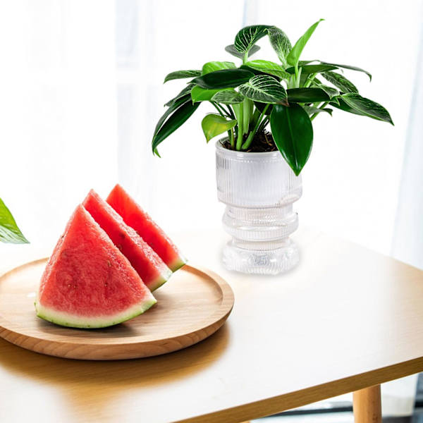 Transparenta Hydroponiska Små Krukor för Växter, Inomhus Vardagsrum Desktop Transparent Hydroponisk Pl