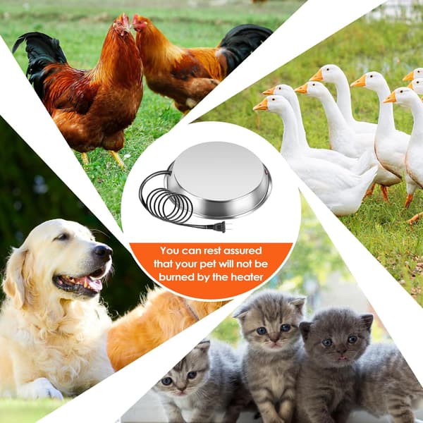 Heated Water Base for Poultry in Winter - Chicken Waterer with EU and US Plug Options