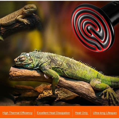 100W Ceramic Reptile Heat Lamp - E27 Socket - for Aquarium Reptiles, Turtles, Lizards, Snakes, Spiders, AC220V, 2-pack