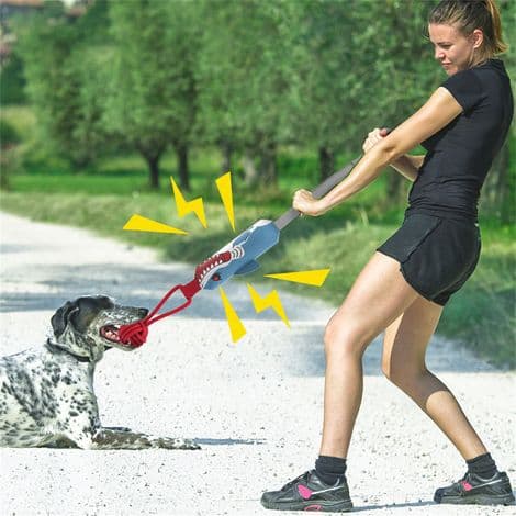 Interactive toy with sound for dogs