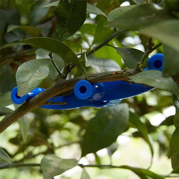 360° Rotating Branch Shaper Fruit Tree Branch Pulling Fixing Device Multifunctional Plant Bender 10pcs 10pcs