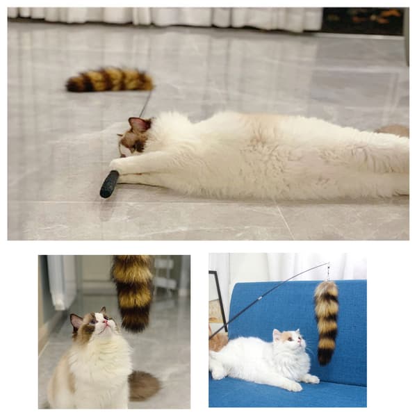 Soft Funny Cat Stick, Retractable Replaceable Head, Relieves Boredom, Kitten Stick for Indoor Use