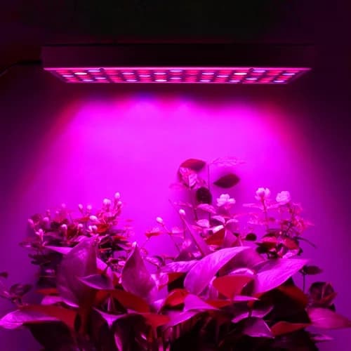 Vækstbelysning 225 LED-panel | Vækstlampe for optimal planteudvikling{bt}