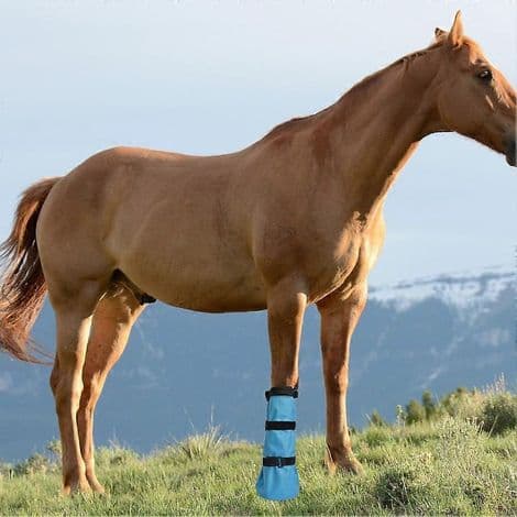 Horse Hoof Soaking Boot, Easy-to-Use Soaking Bag, 2-Pack