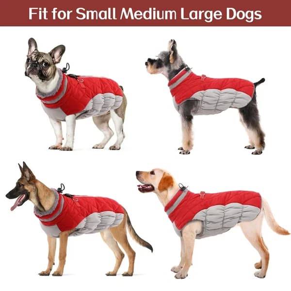 Dog Size L, Red Winter Jacket for Warmth and Reflection, Dog Jacket