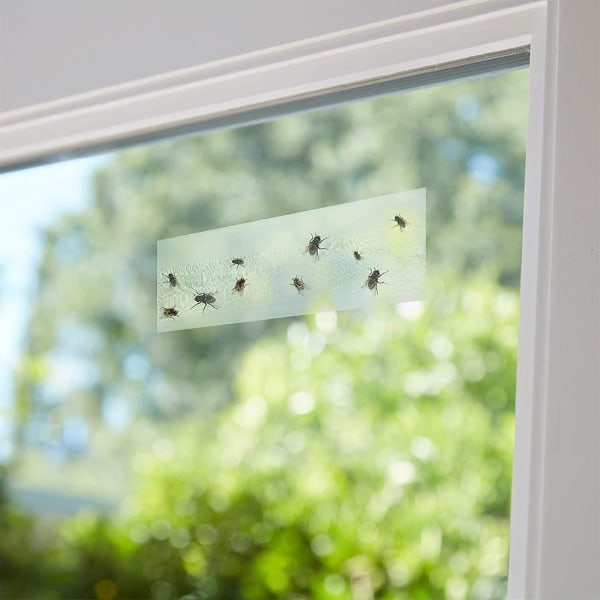 50 delar genomskinligt fönster flugfångare, flugpappersremsa, klibbig 20x7 cm