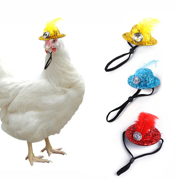 3 stk. Kyllingehatte til høns, Mini Hat Kyllingehat, Kæledyrs Kyllingehat, M