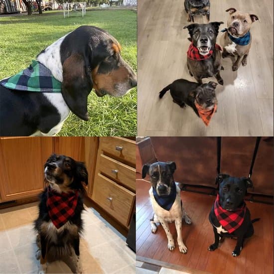 4-delat hundhalsbandset - triangulär rutig bomull - justerbart och tvättbart - för små, medelstora och stora hundar
