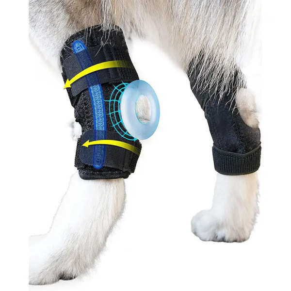 Løftestøtte for slyngehund, hjelperehabiliteringssele med håndtak for eldre og syke kjæledyr (L) 1 stk.