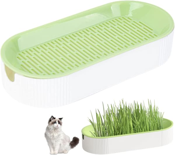 Cat Grass Planter, Cat Grass for Indoor Cats Planter, Nursery Pot