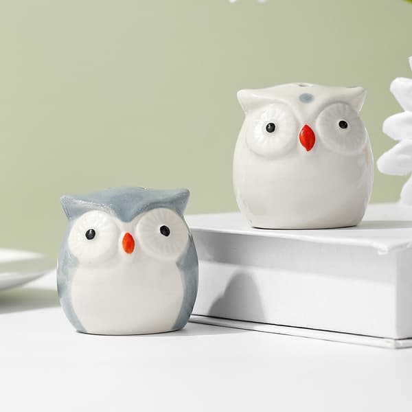 Owl Ceramic Spice Jar Cute Cartoon Two Colors