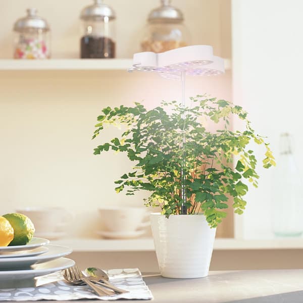 Plant Grow Light, LED Plant Light for Indoor Plants Full Spectrum Grow Lamp, Height Adjustable, Automatic Timer (Plug Not Included)