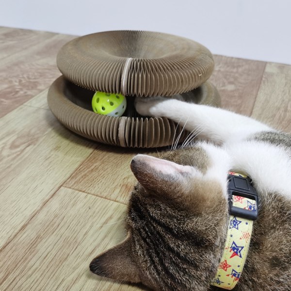Magic Organ Cat Scratching Board Vikbar Cat Grinding Scratch Board levereras med leksak Slitstark återvinningsbar interaktiv katt