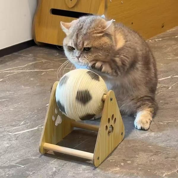 Kattleksaker, klösbräda för katter, kattleksaksboll