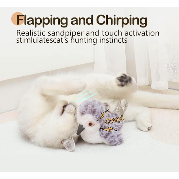 Realistic Plover Sound, Touch-Activated Interactive Cat Toy, Suitable for Indoor Cats (Cannot Fly).