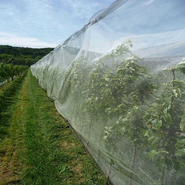 Anti-Insekt Dække til Planter Anti-Flyvende Fugl Dække Høj Densitet Skyggefri Plante Net til Planter