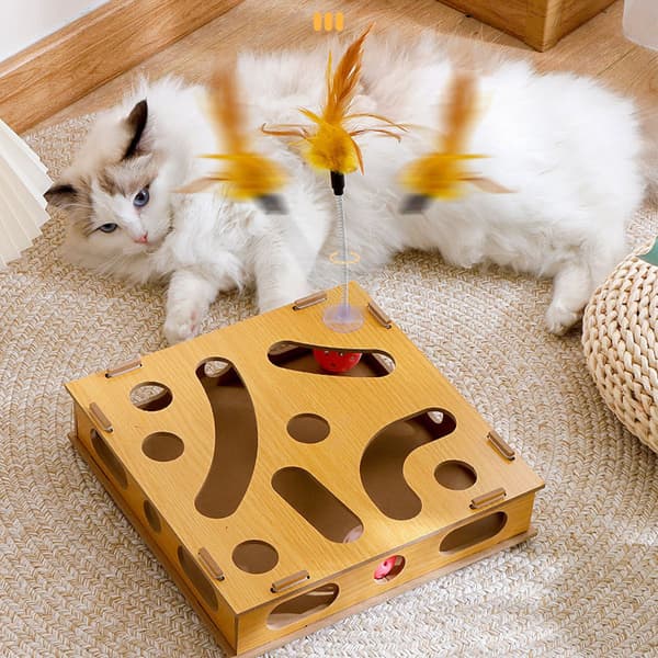 Cat Puzzle Box for Claws, Interactive and Fun Cat Game with Teasing Stick and Bell Ball