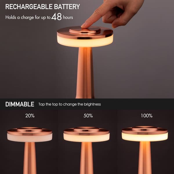Rose Gold Portable LED Desk Lamp with Touch Sensor, 3-Level Brightness