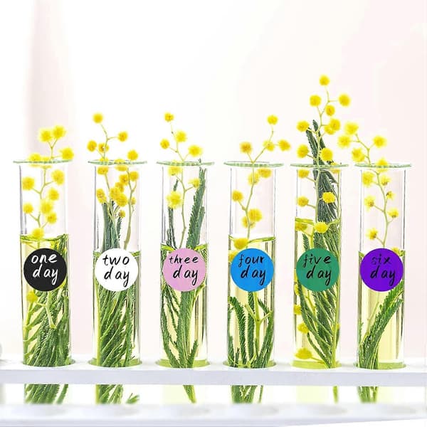Round Stickers White 13mm Circle Labels with Color Coding Dots Waterproof Removable Roll of 1000