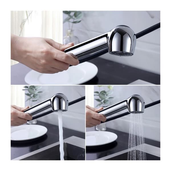 Chrome kitchen faucet spray head with 2 jets