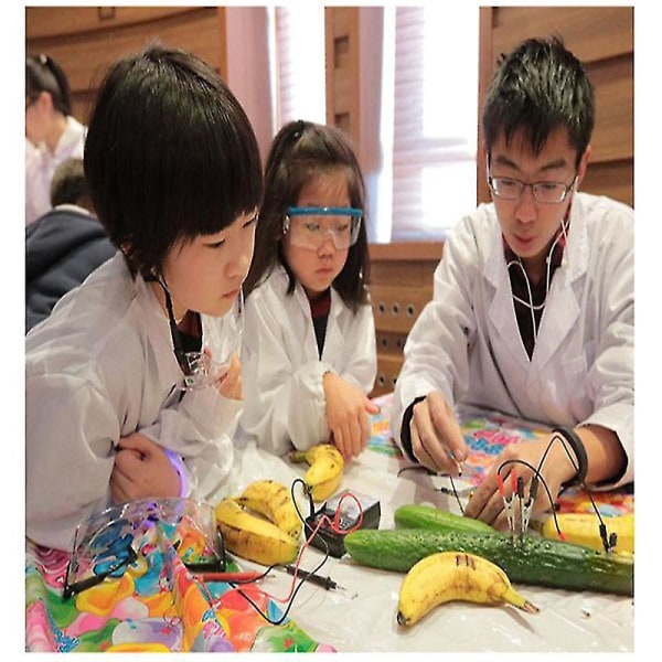 Barnas vitenskapelige eksperiment pedagogiske leker potet frukt bioenergi kraftproduksjon vitenskapelig eksperiment DIY vitenskap og teknologi fysikk