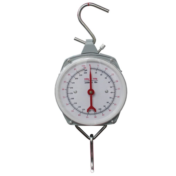 Hanging scale 100kg, portable scale, portable hook scale, spring hook scale, mechanical hand lifting scale