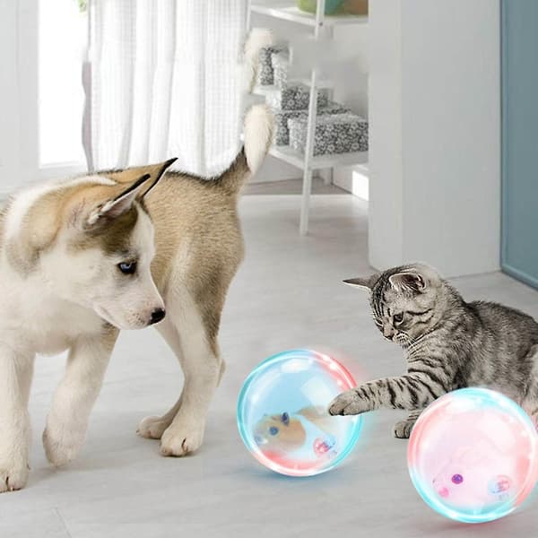 Hamsterbold til katte Hundelegetøj Elektronisk Kæledyrslegetøj Hamster Elektrisk