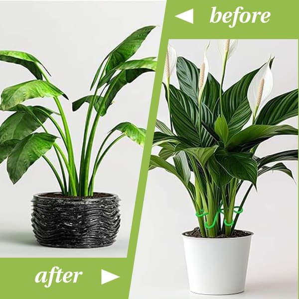 Plant Stem Support - Climbing Plant Support, Indoor Climbing Plants, Monstera Leaf Plant Support