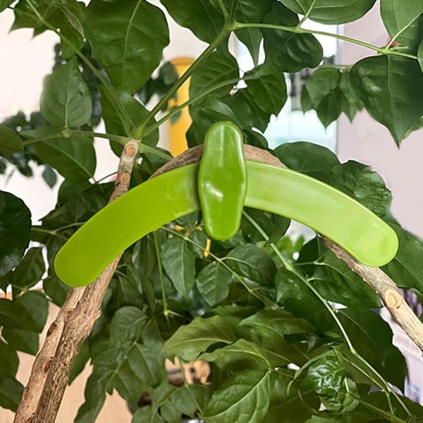 Adjustable Professional Garden Clips for Bonsai, Fruit Trees, Bonsai Design, Training Clips