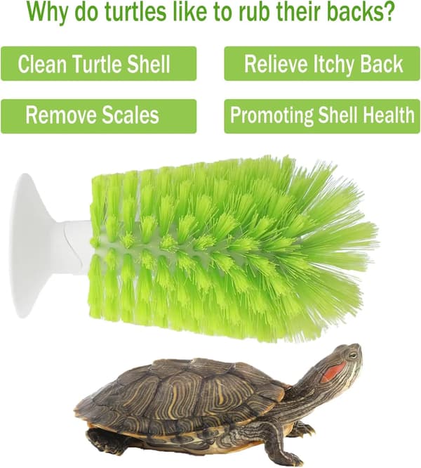 Turtle Shell Cleaning Brush with Suction Cup, Soft Bristles for Aquarium Turtles, Green