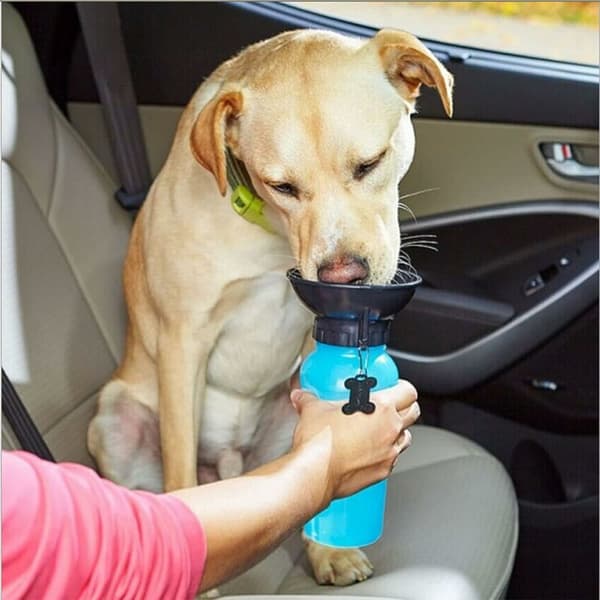 Drikkeflaske med integreret skål 600 ml - Til hunde - Ideel til kørsel blå