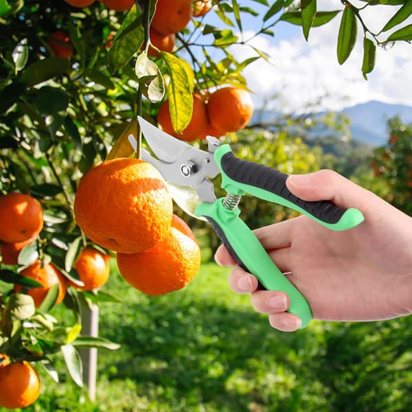 Garden Pruning Shears, Multifunctional Non-slip Lock Handle Garden Pruning Shears for Pruning Shrubs, Fences