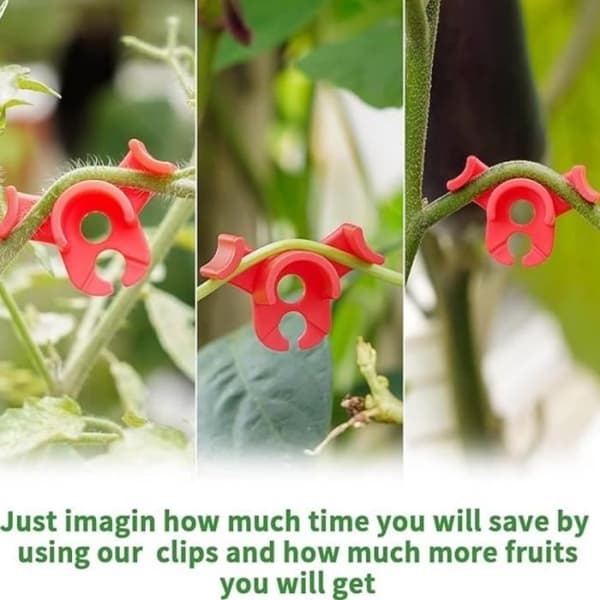 Plant Training Clips, 90 Degree Plant Branch Clips, Branch Shaped Fixing Loop, 60 Pcs