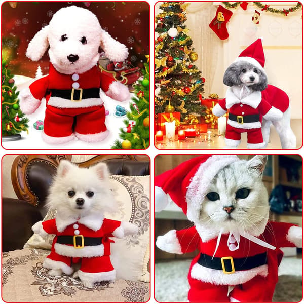Julemandskostume til hund og kat, sødt julemandstøj til kæledyr