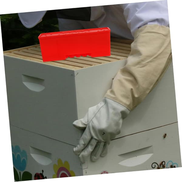 Beekeeping Tools Queen Cages Transport Box Transport