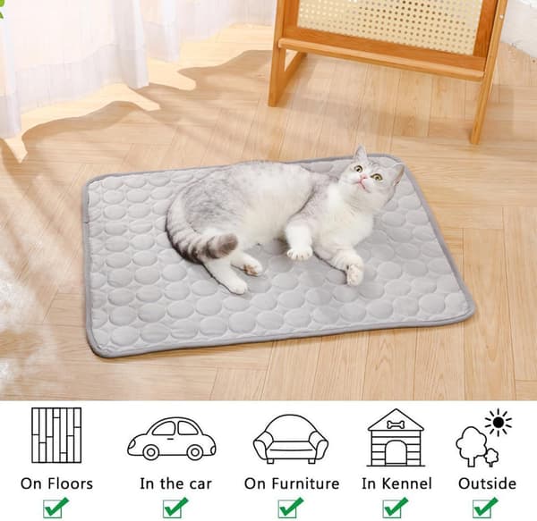1 stk. kølemåtte til hunde, blød behagelig kølemåtte til hunde, sommerkølemåtte til hunde, kølepuder til kattehvalpe, 70 * 55 cm, (grå) Grå Grey