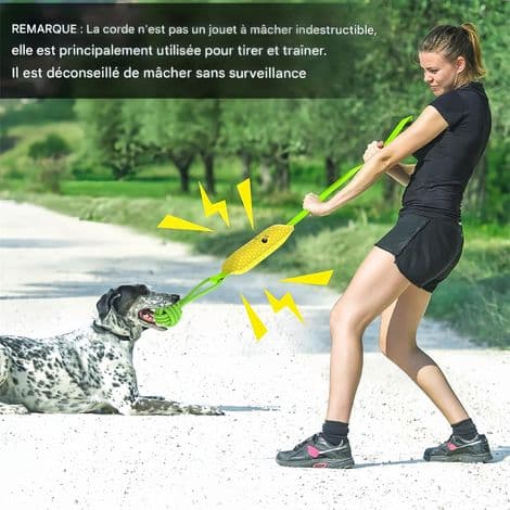 Interaktiivinen lelu äänellä koirille