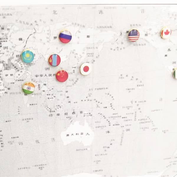 Map Tacks with National Flags, Thumb Grips, Country Map, Map Pins for Bulletin Board, Map, Office [Ho]