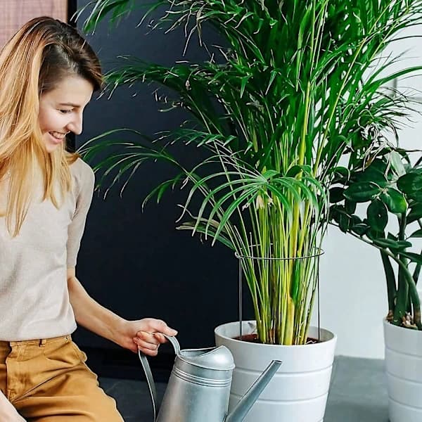 12-pakning Halvsirkelformede Plantestøtter, Kompatible med Tomater, Blomster og Planter