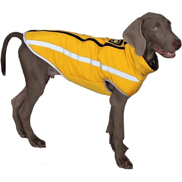 Waterproof and Windproof Warm Dog Jacket